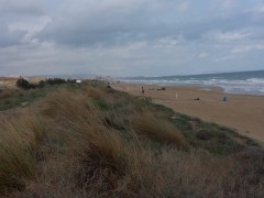 img_8716_243_IMG-20180907-WA0002.jpg